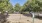 dog park